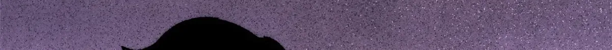 293 夜帝的女粉 第49页