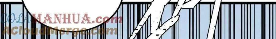 266 一个负责打一个负责治 第13页