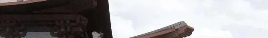 266 一个负责打一个负责治 第28页