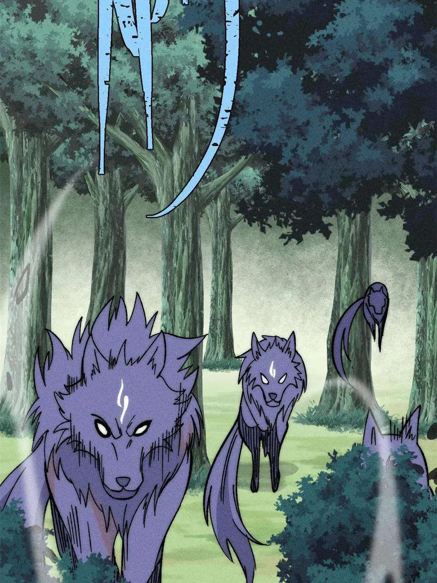 228 我来，是为了凡尔赛 第33页