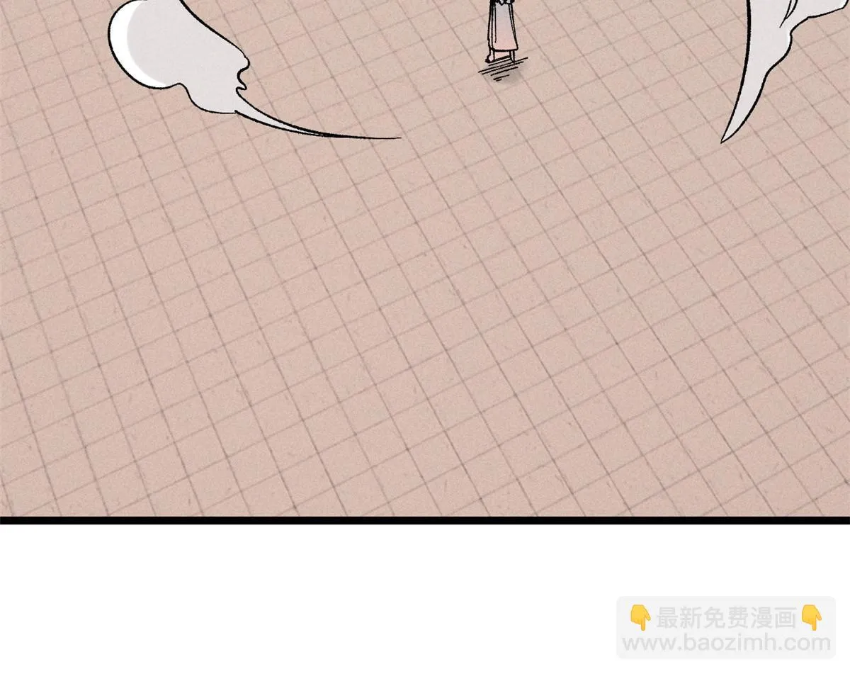 216 哥，我要挑战你 第27页