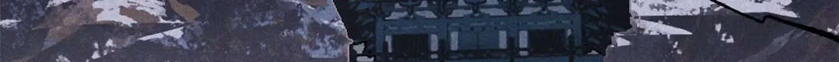 299 情报收集 第100页