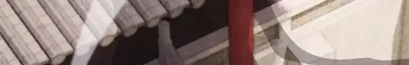 295 辈分不能乱 第112页