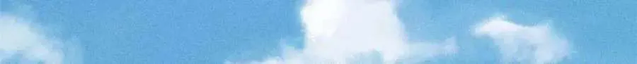 261 谁在模仿帅气的我？ 第61页