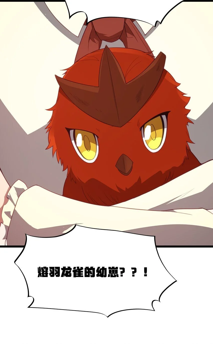 第46话 龙雀幼崽的商业化用法 第5页