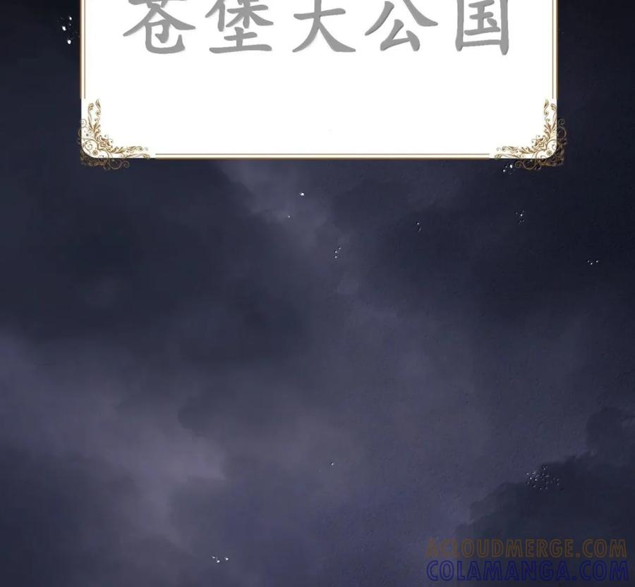 第141话 恭喜恭喜（苍堡大公国篇） 第29页