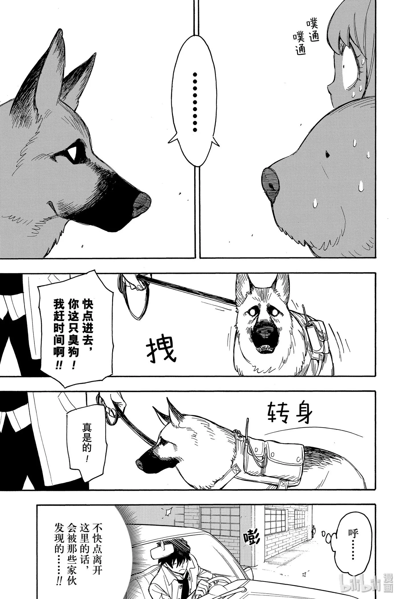 21 MISSION 21 第5页
