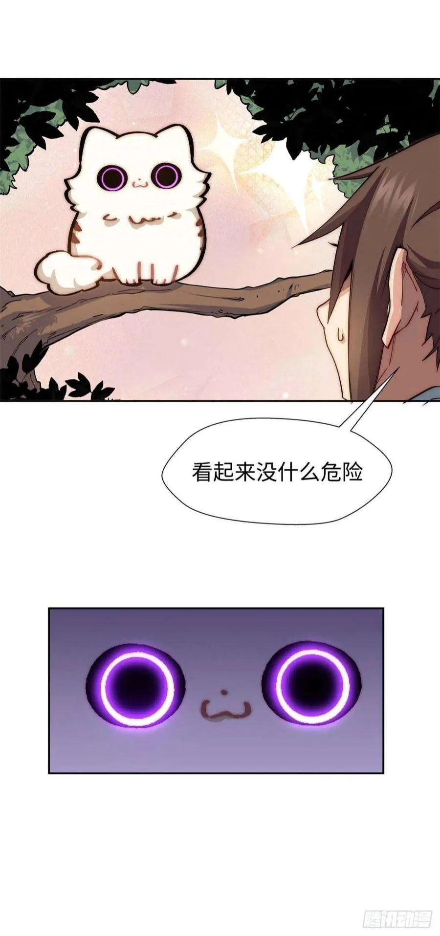 13 第8页