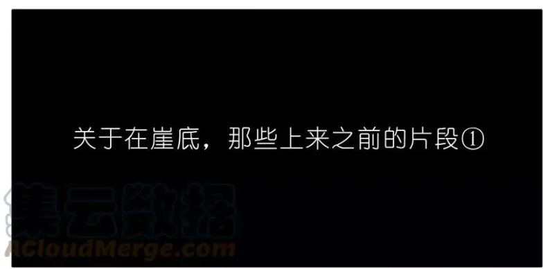 37 第3页