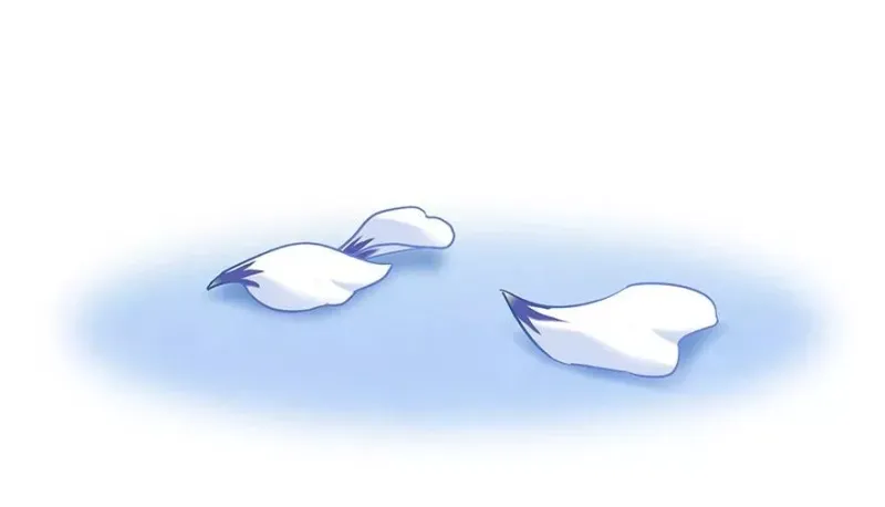 191 第14页