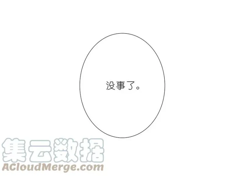 242 第13页