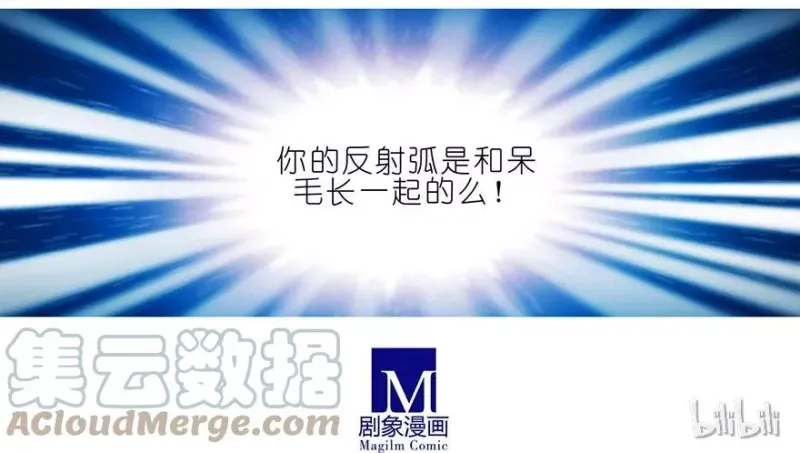 54 第13页