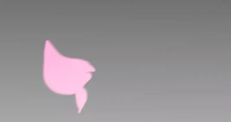 42 第14页