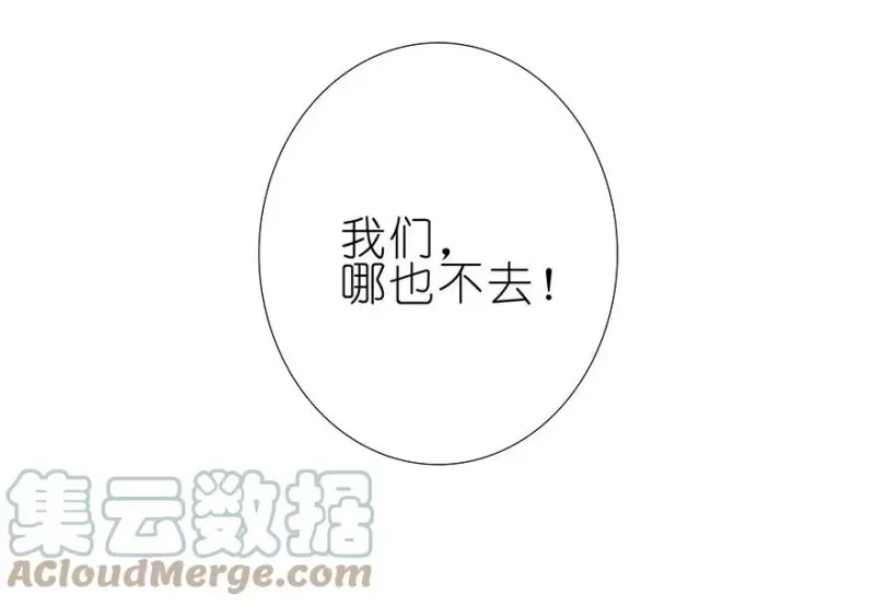 203 第17页
