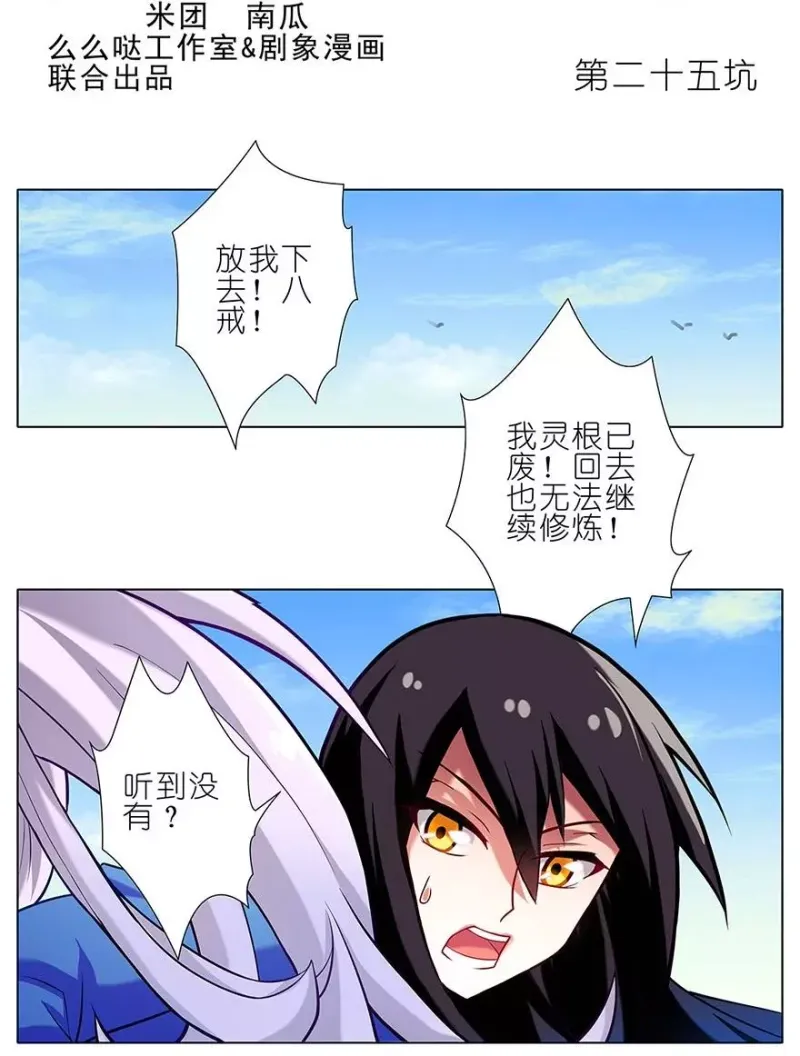 25 第2页