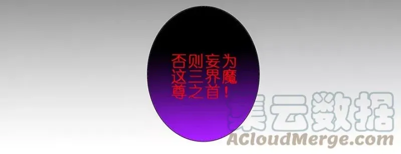 25 第11页