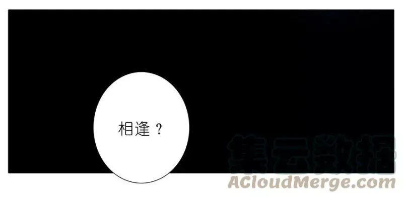 185 第13页