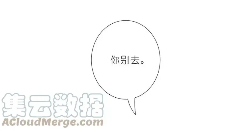 116 第19页