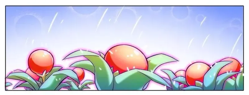 78 第10页