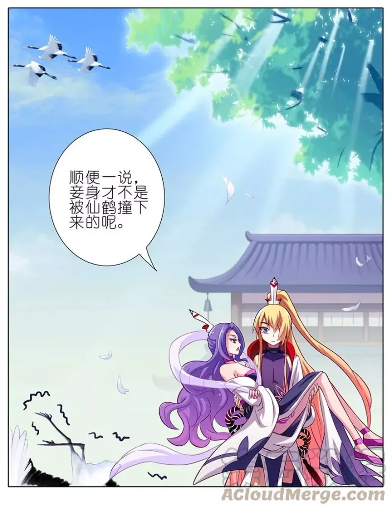 51 第7页