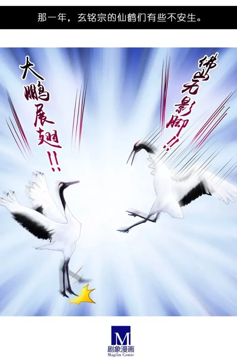 51 第8页