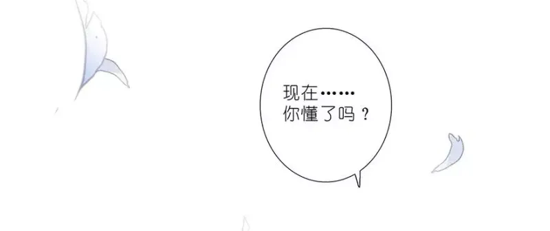 51 第16页