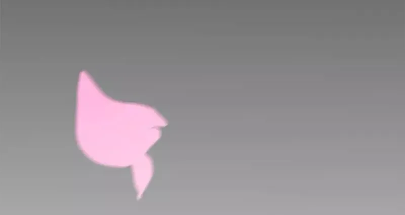 43 第21页