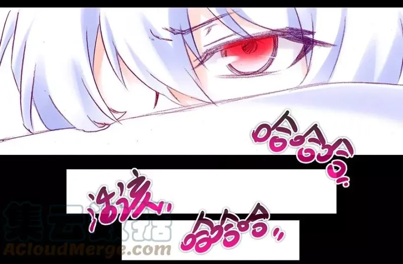 213 第23页