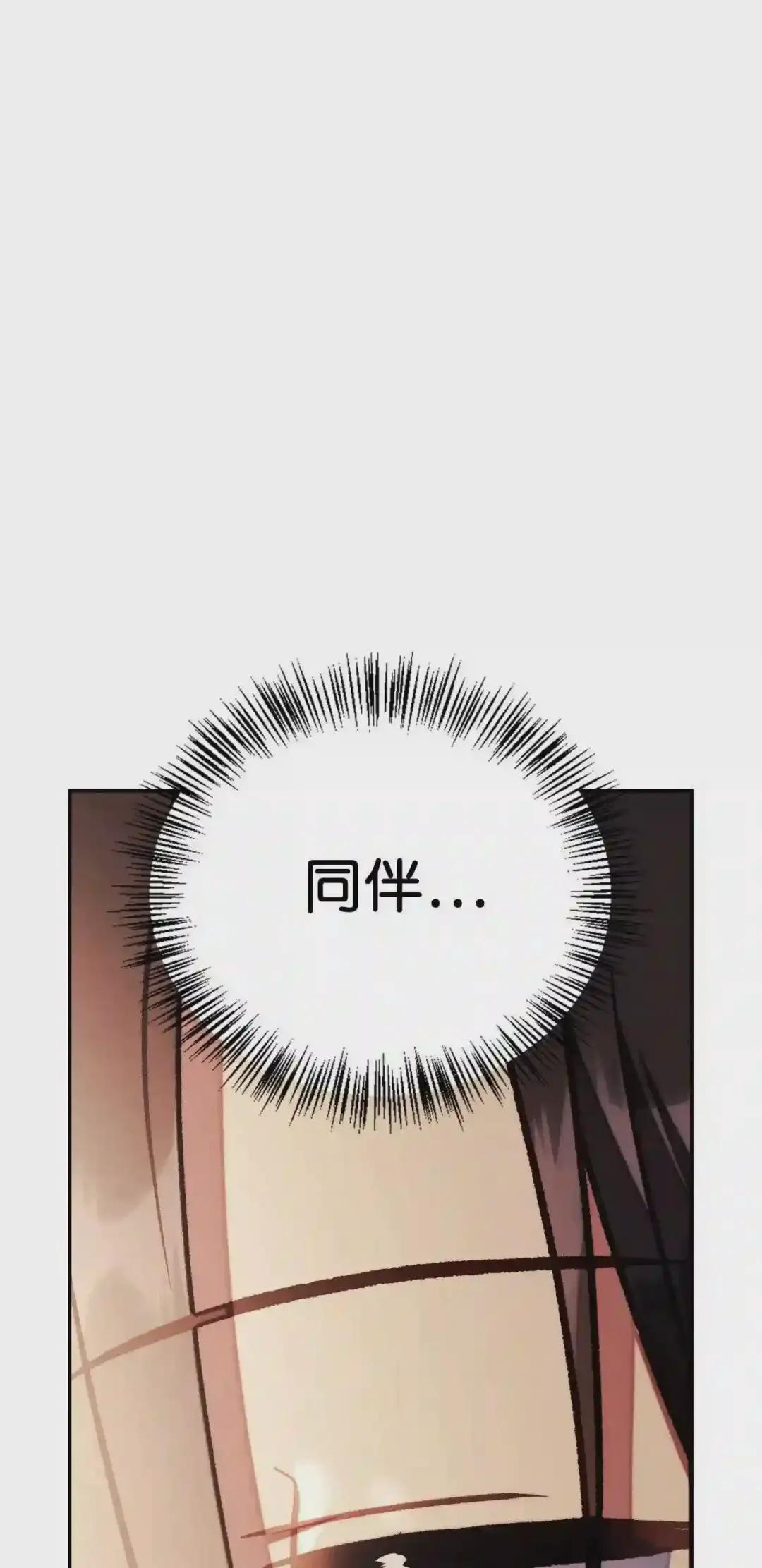 020 同伴 第29页
