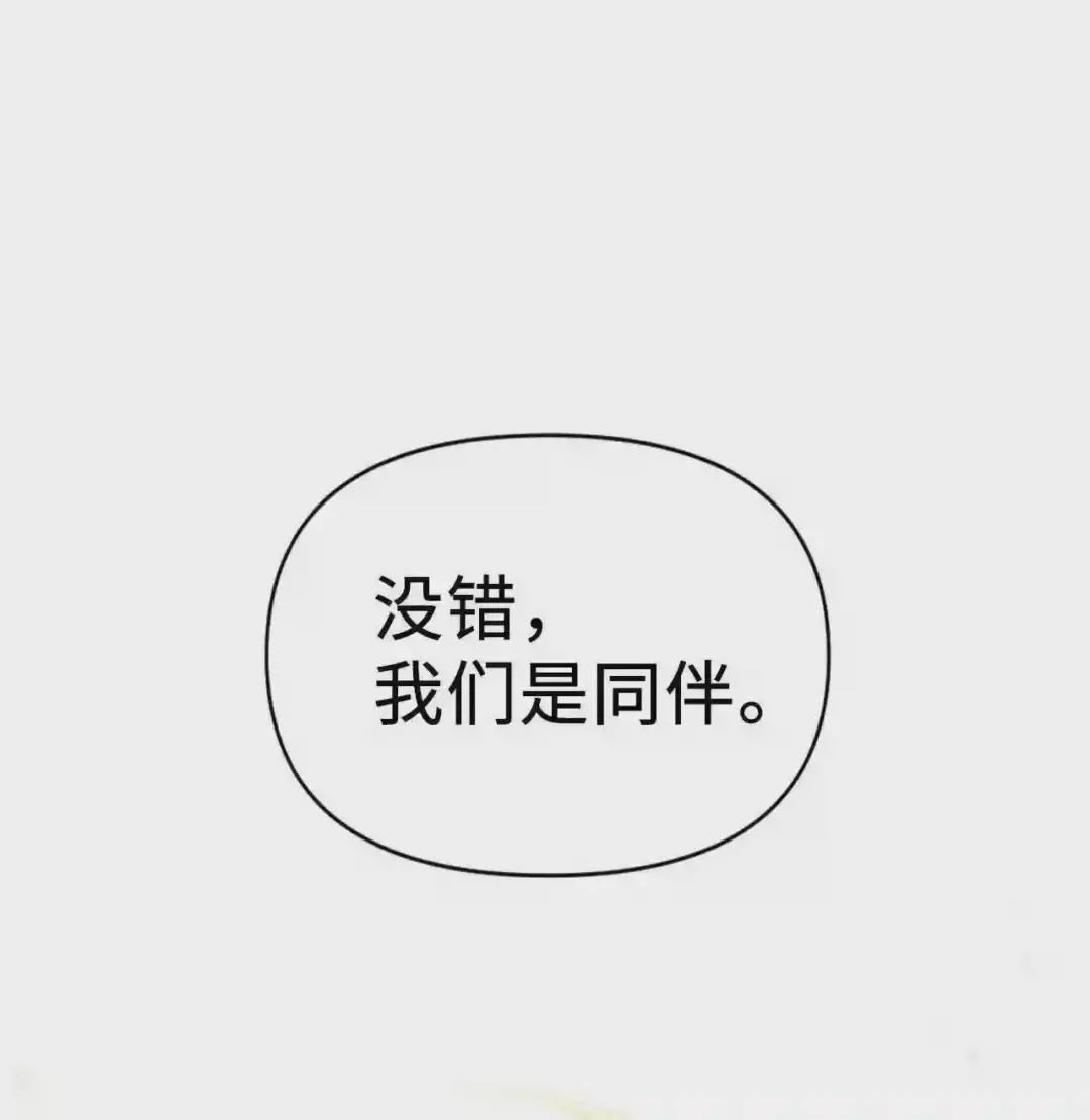 020 同伴 第40页
