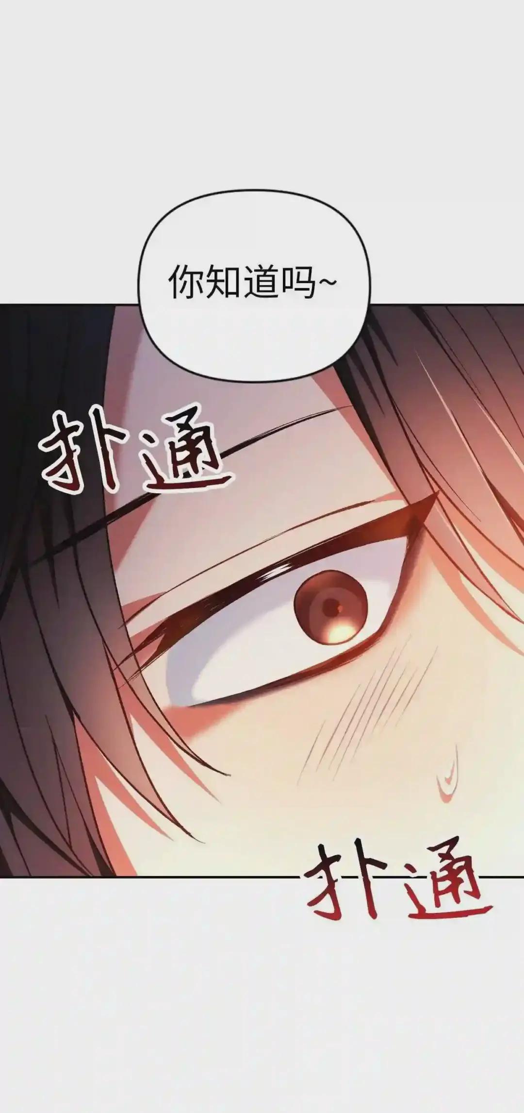 009 同类 第28页