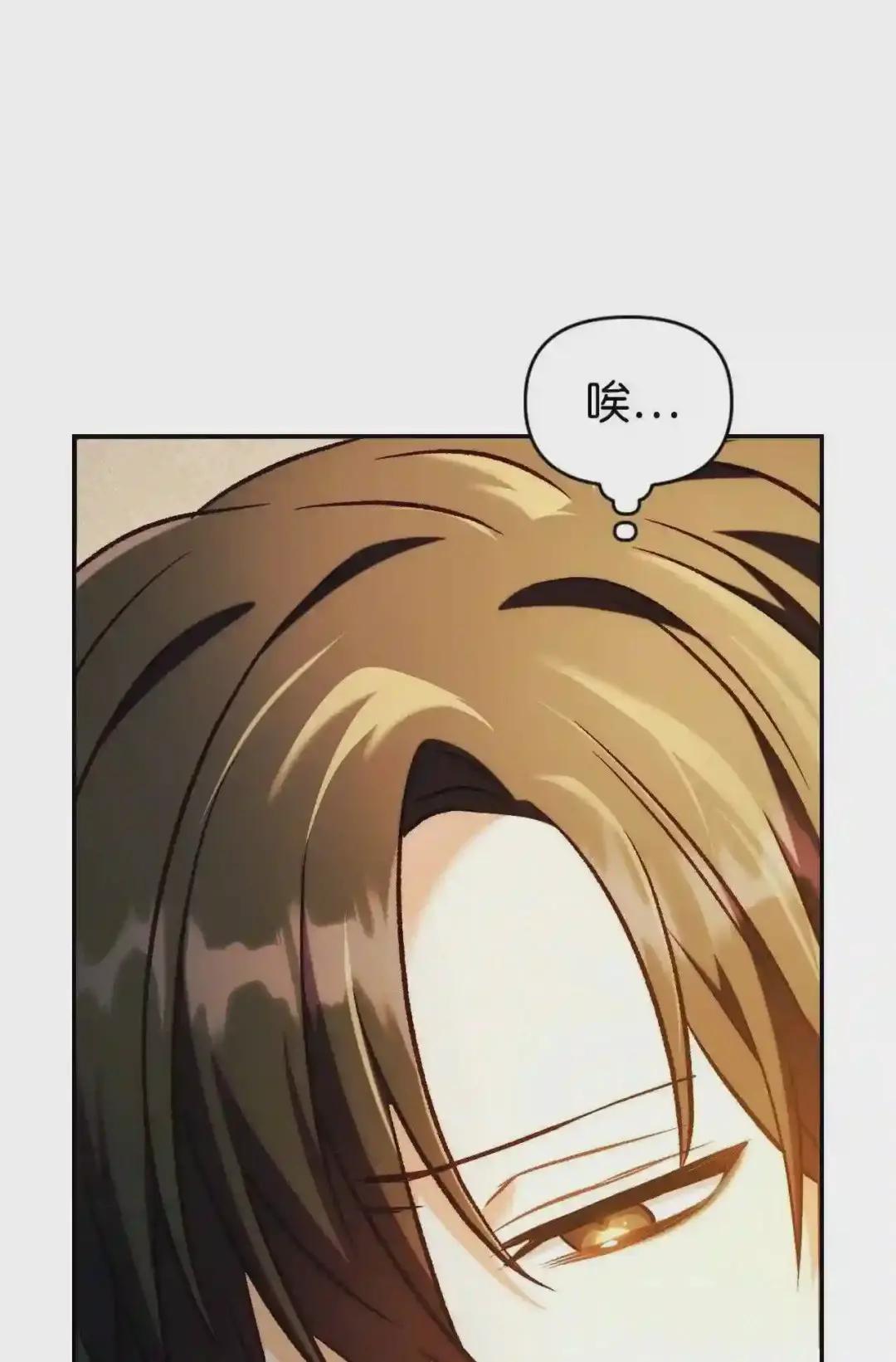 028 虚假的辉煌 第111页