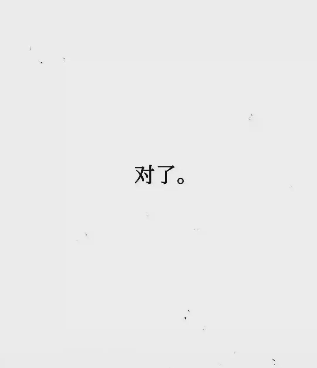 028 虚假的辉煌 第113页