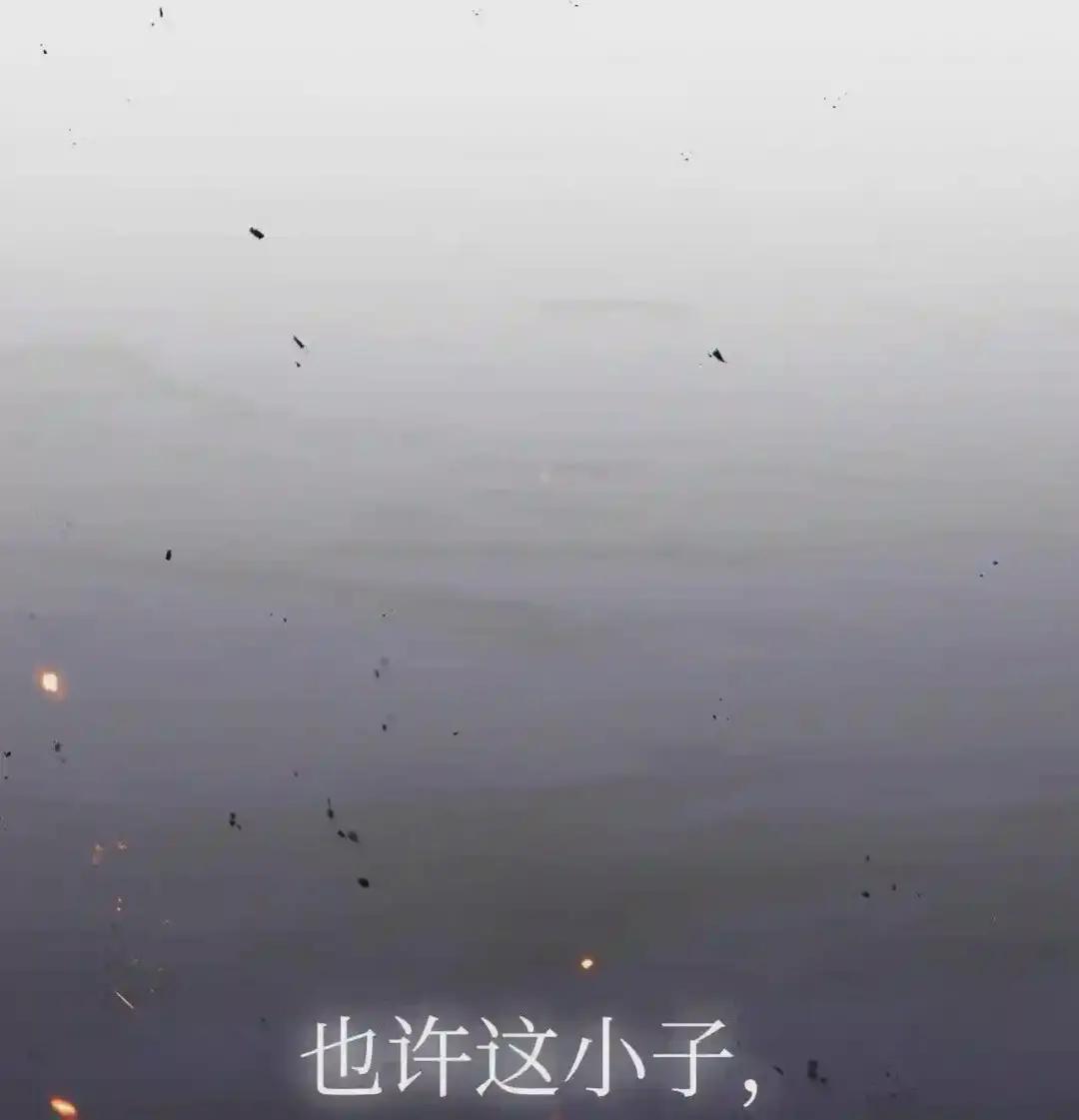 028 虚假的辉煌 第114页