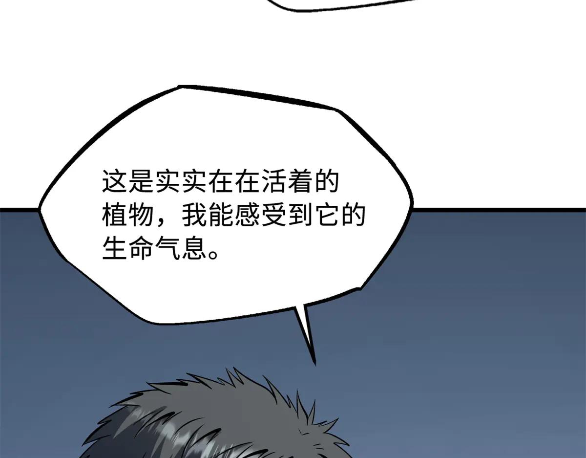 333 翡翠黄金树 第114页
