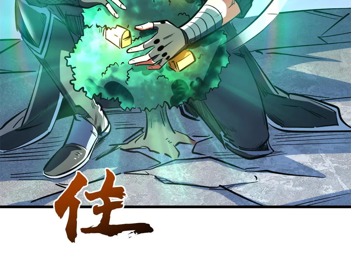333 翡翠黄金树 第127页
