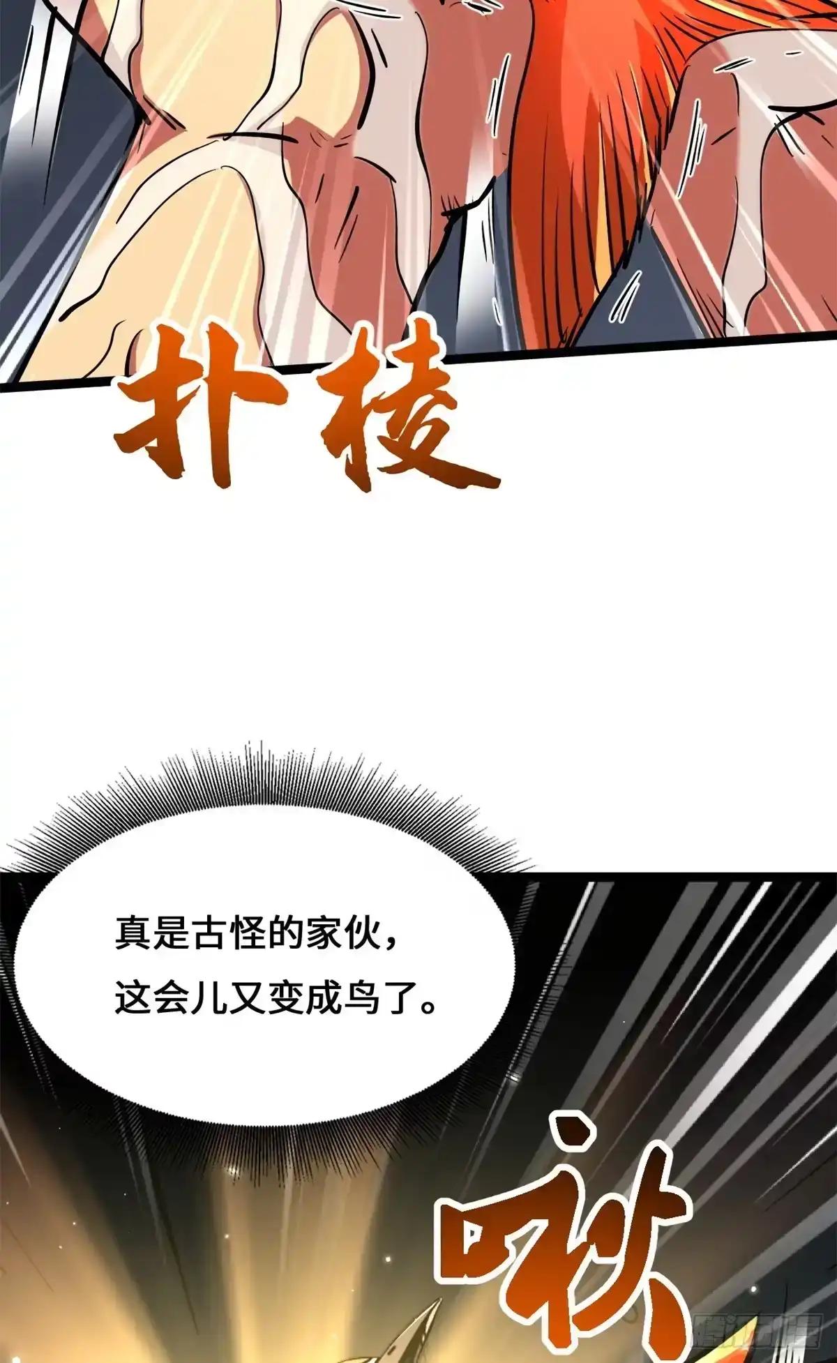 447 凤落神山，帝陨黄泉 第14页
