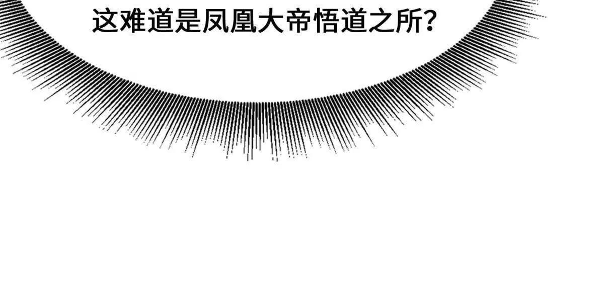 442 百鸟朝凤之所 第135页