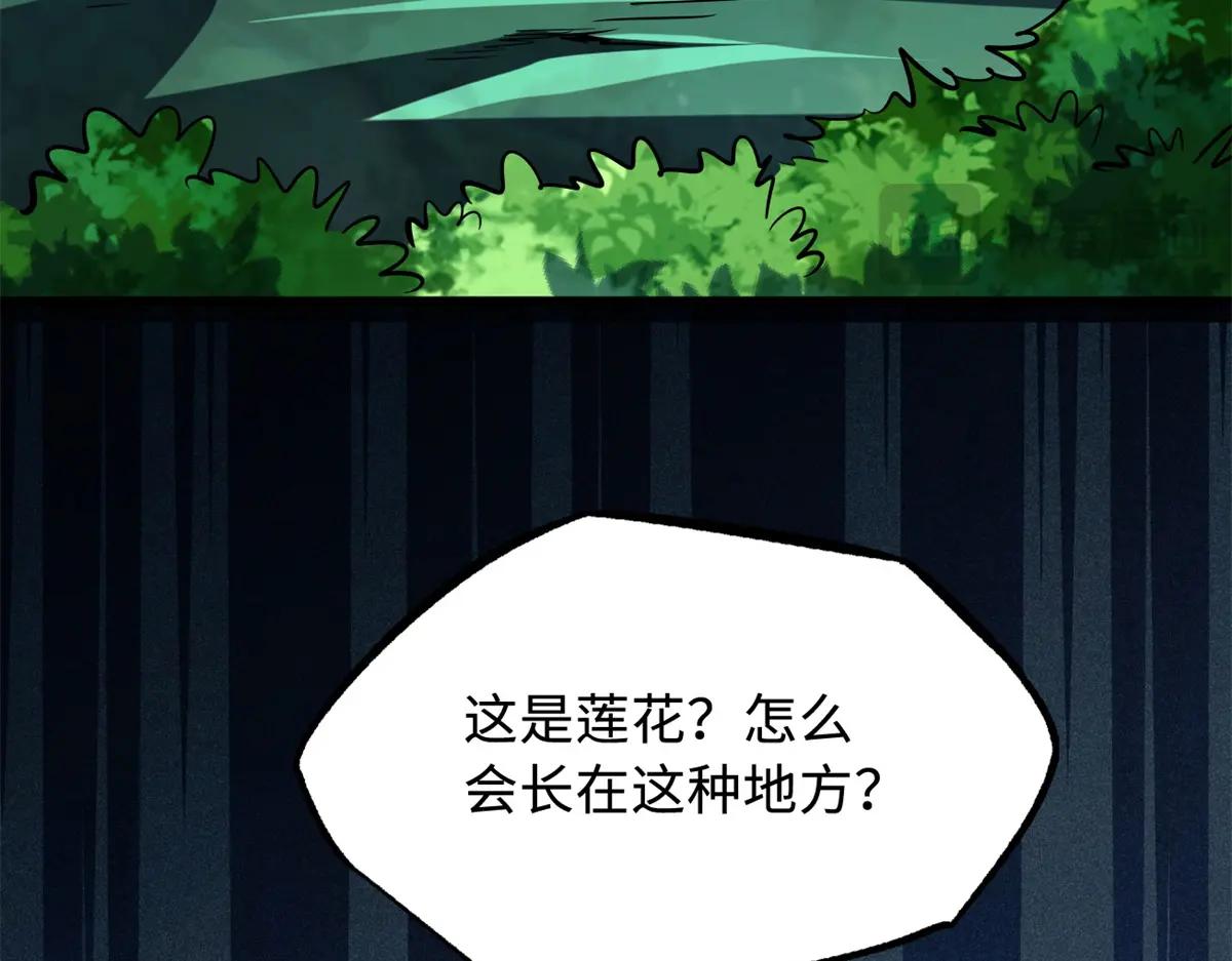 207 七叶莲花 第157页