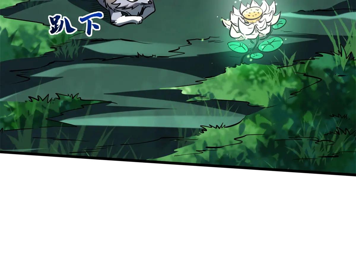 208 海空之争！ 第15页