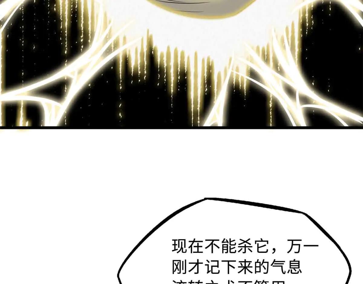 296 银翅仙蝶 第15页