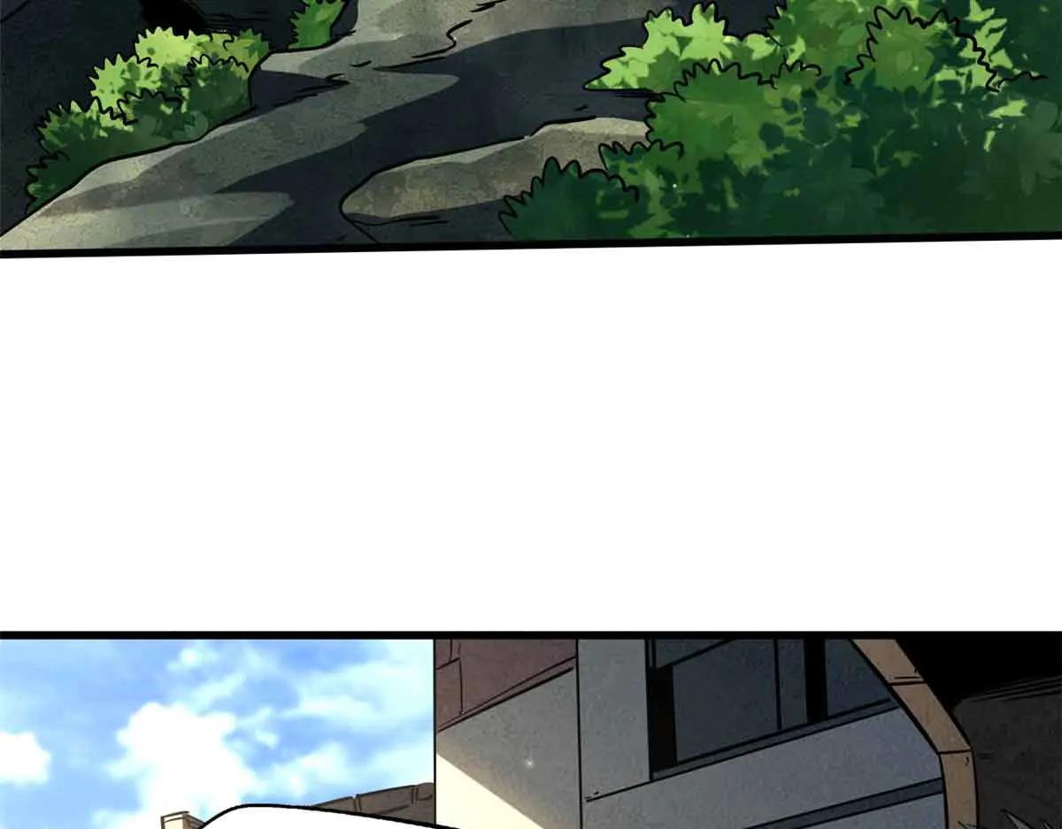 296 银翅仙蝶 第110页