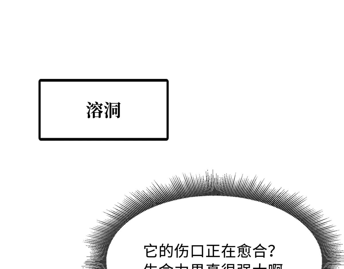 328 我不姓罗 第3页