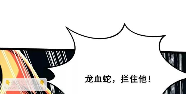 425 白蛟脱困 第41页