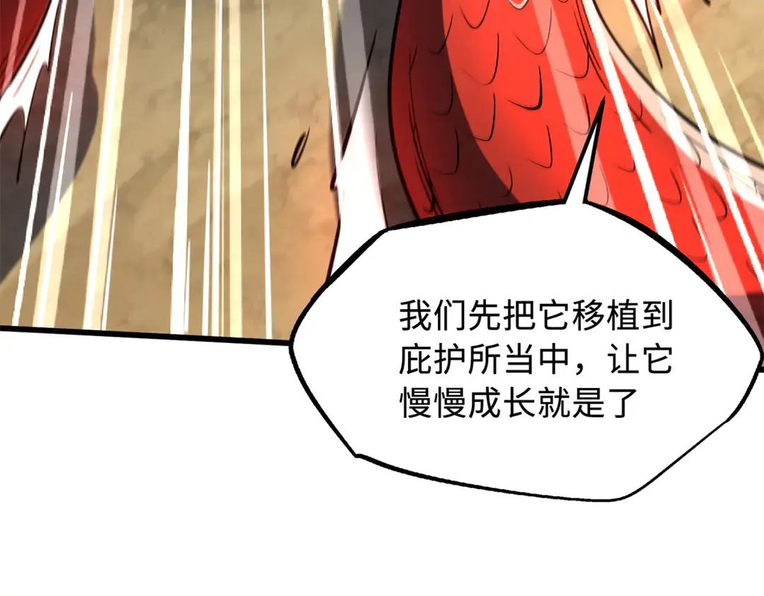 405 骑士树 第166页
