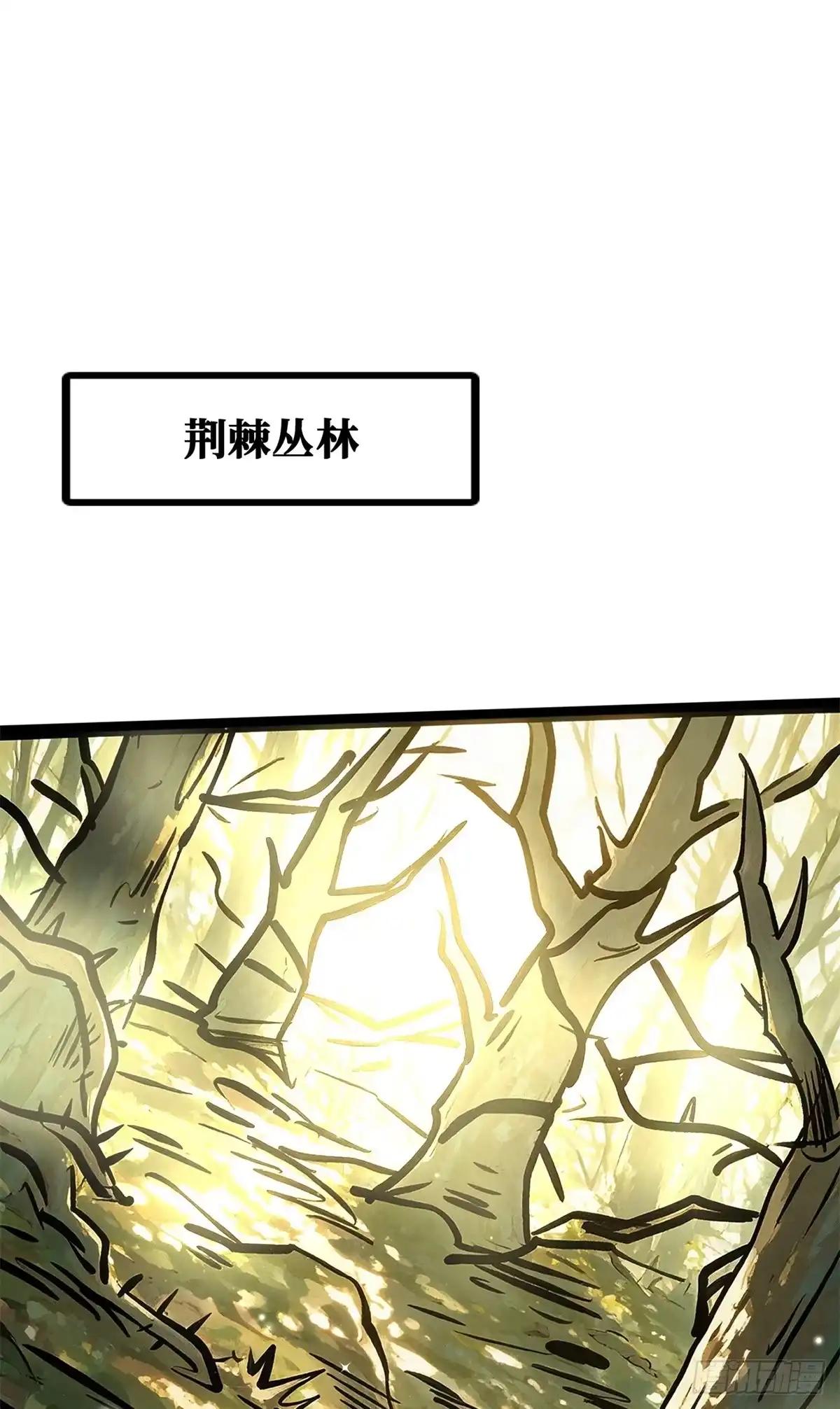 484 收废品的超级神生物 第2页