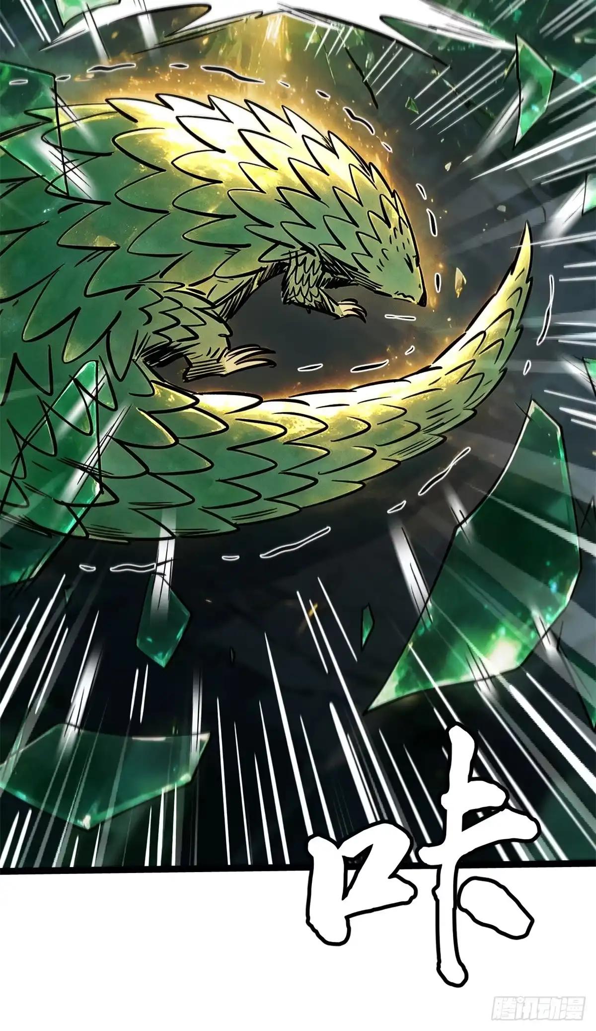 484 收废品的超级神生物 第49页