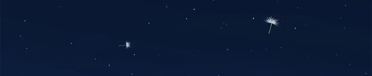 286 吸血角蚊 第11页