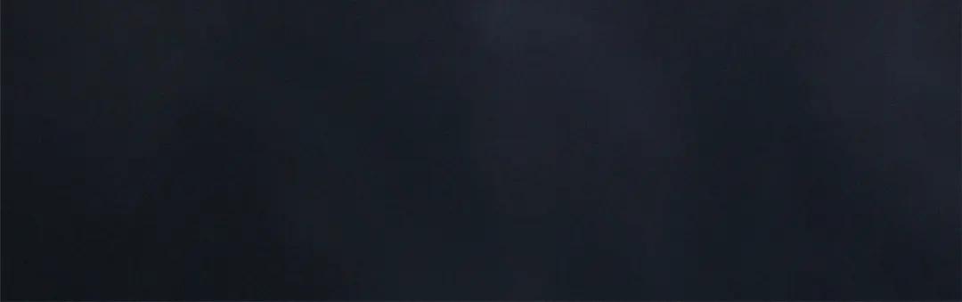 23 紫羽鳞龙 第11页