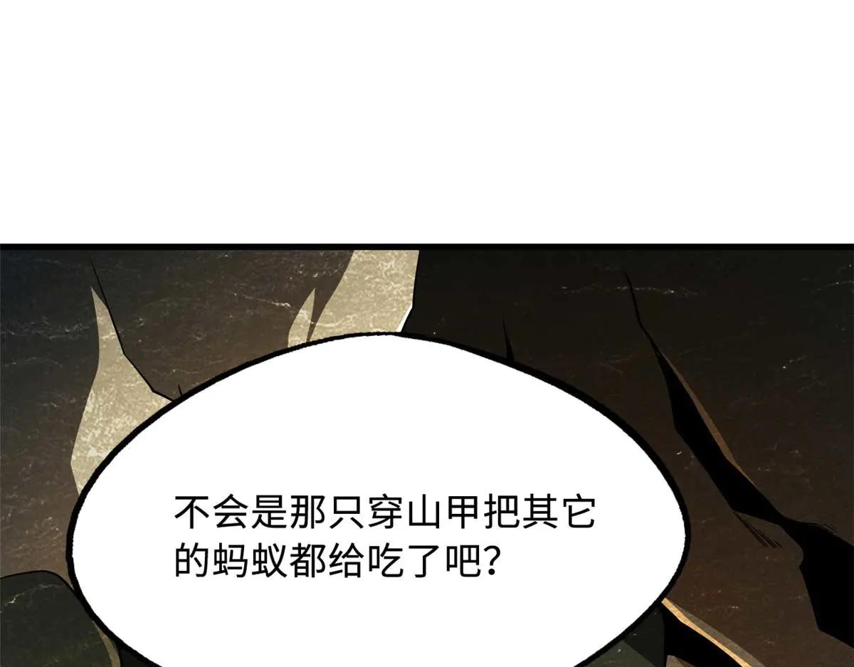 250 蚁巢 第105页
